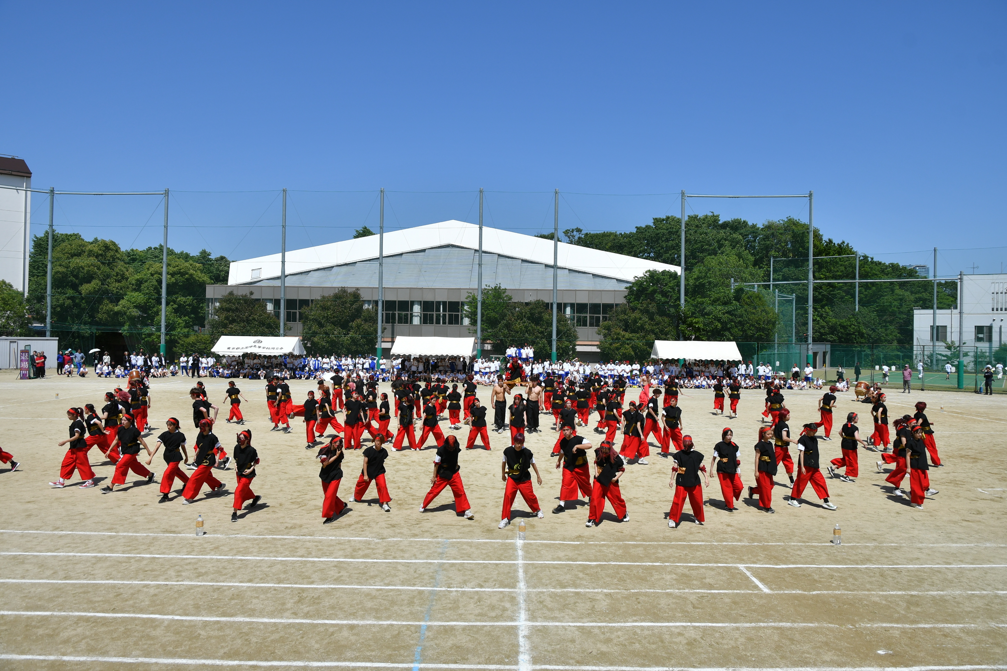 国際高等学校の紹介画像_04